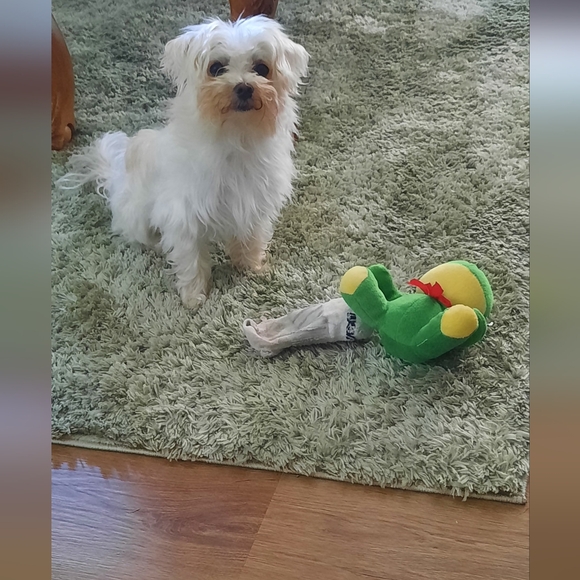 @marilyn23919 is Live! - Picture 10 of 10